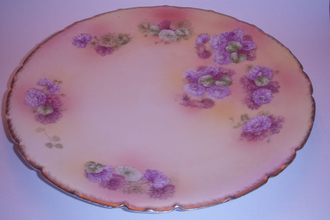 Bavarian China Hand Painted Plate
