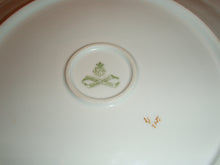 Load image into Gallery viewer, Bavarian China Hand Painted Plate