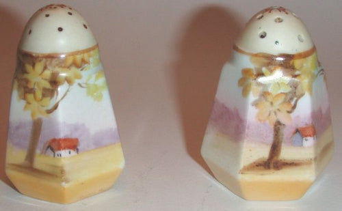 Nippon China Vintage Salt & Pepper Shakers