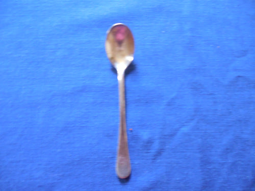Small Silver Plated Spoon Pix Excel Brand